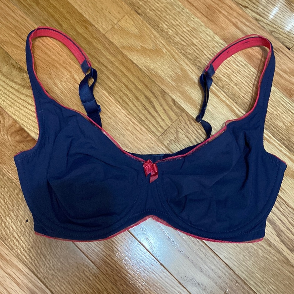 Evollove Sheer Whisper Balcony Bra 32G
